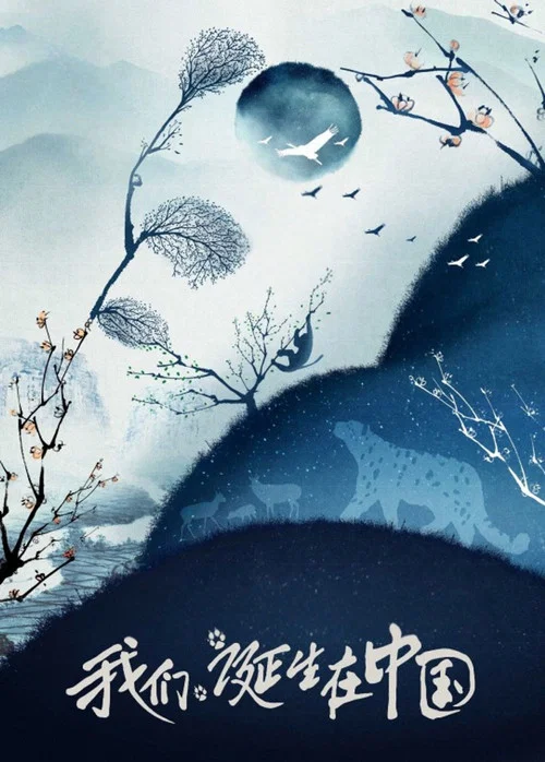 我们诞生在中国海报