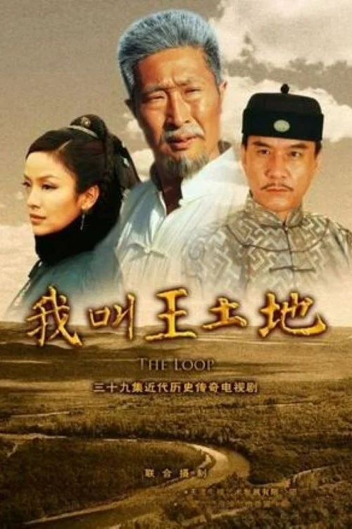 我叫王土地(2012)海报