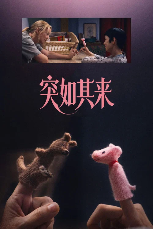 突如其来剧照4