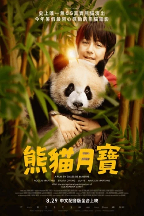 熊貓月亮(2025)海報