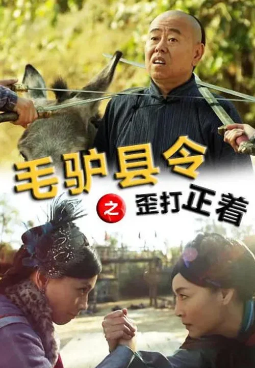 毛驢縣令之歪打正著(2014)海報