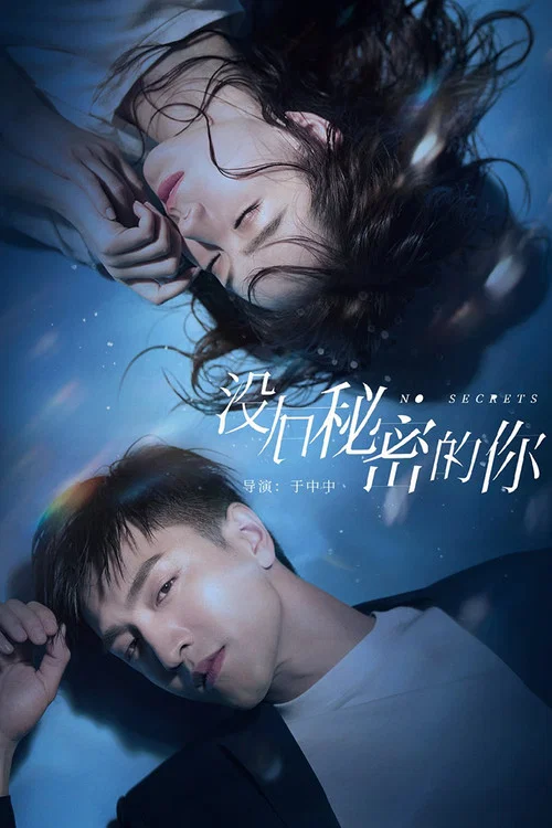 没有秘密的你(2019)海报