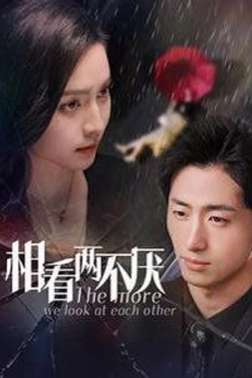 相看兩不厭(2025)海報