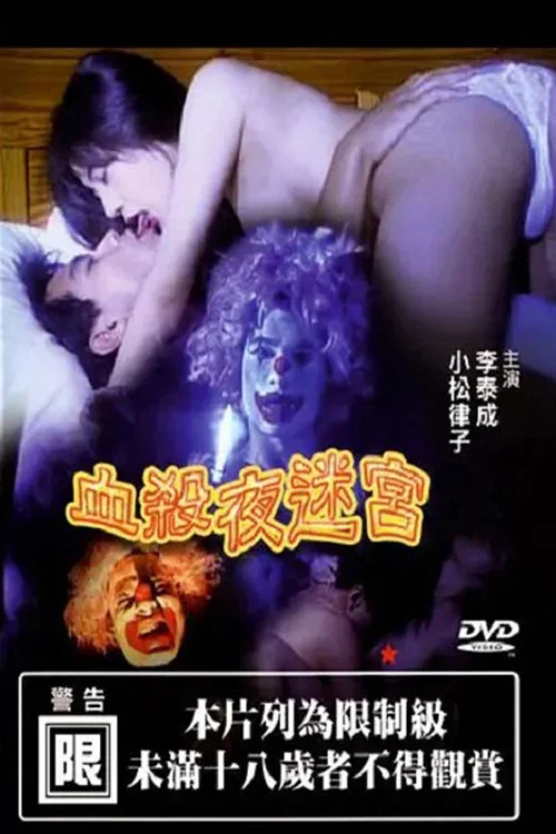 夜迷宮(2001)海報