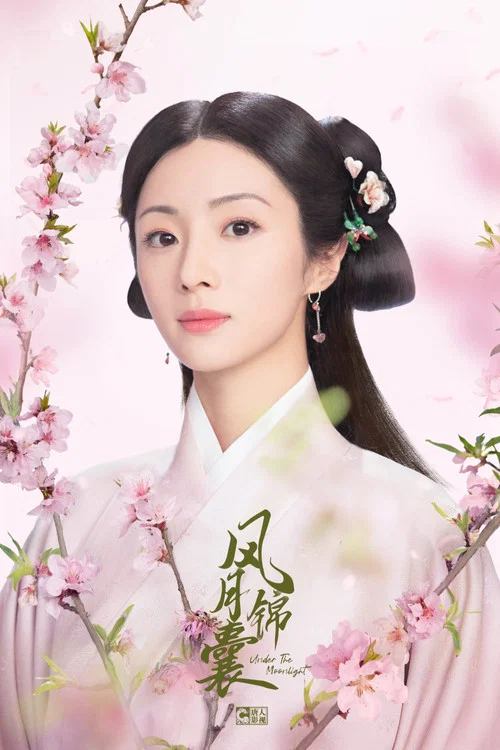 锦囊妙录剧照5