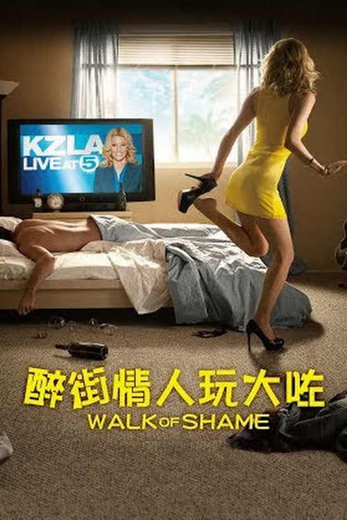 蒙羞之旅(2014)海报