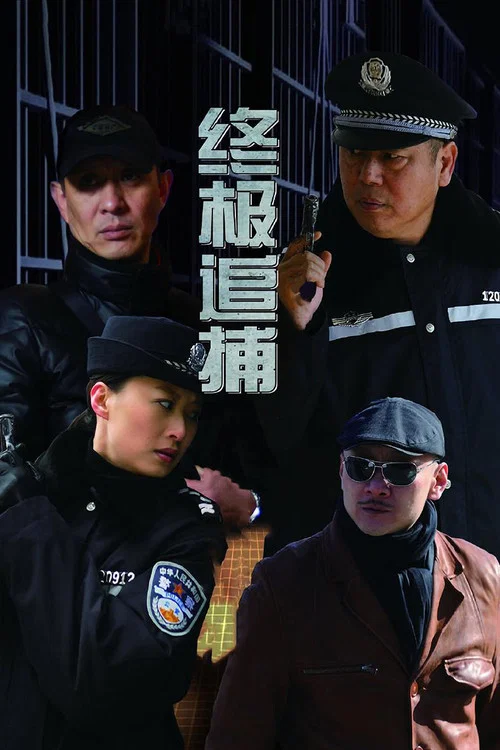 终极追捕(2014)海报