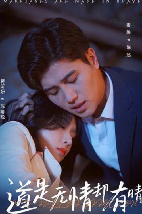 道是無情卻有晴(2025)海報