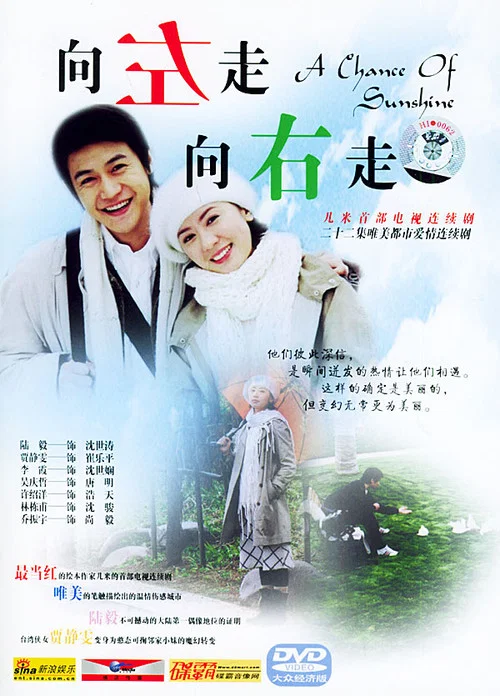 向左走向右走(2005)海報