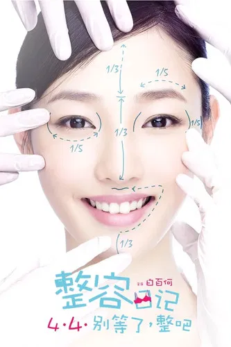 整容日记(2014)海报