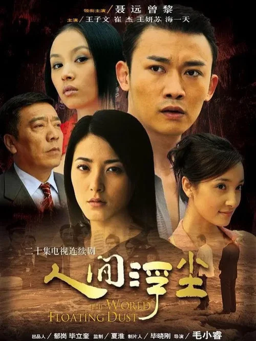 浮尘(2007)海报