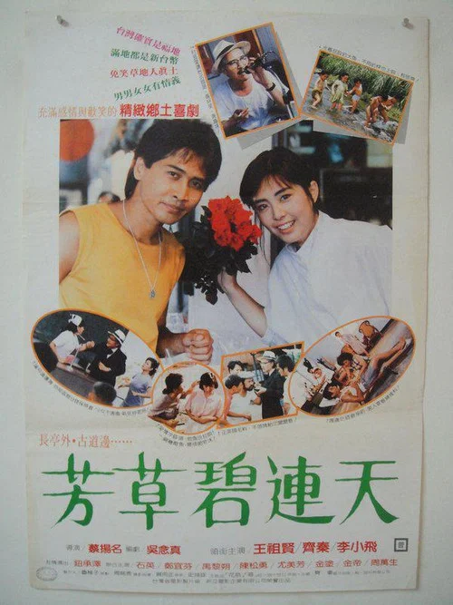 芳草碧连天(1987)海报