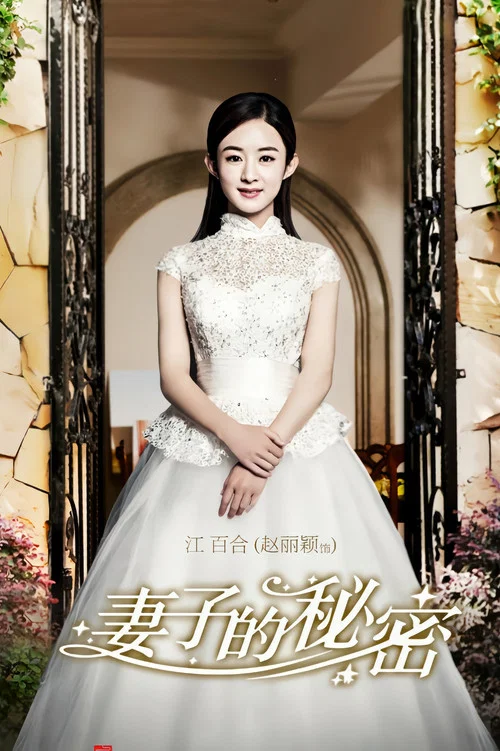 妻子的秘密(2014)海報