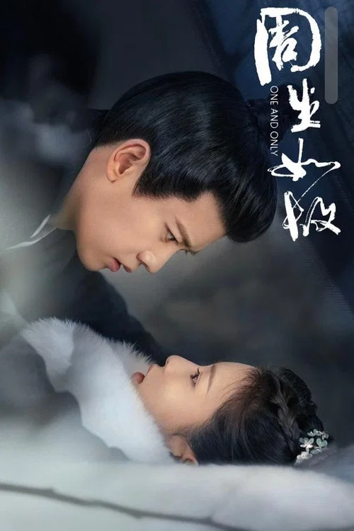 周生如故(2021)海报