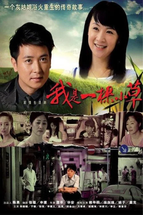 我是一棵小草(2009)海報