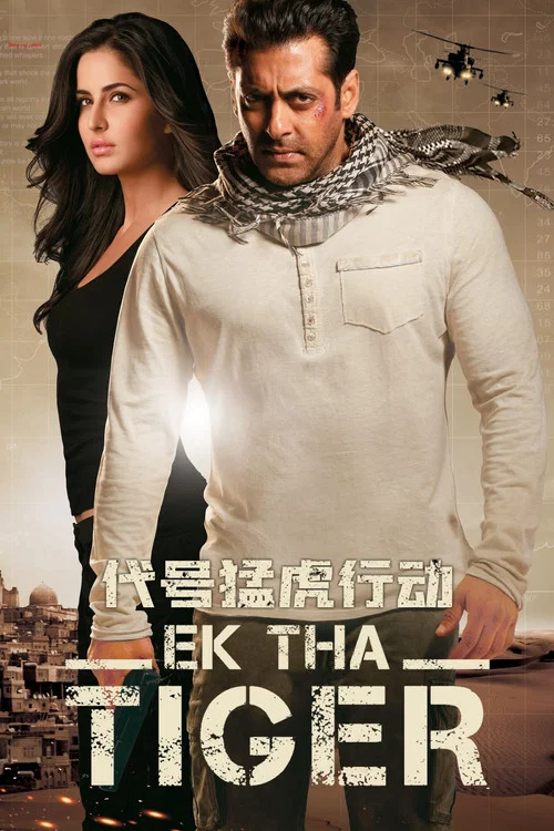 代号猛虎行动(2012)海报