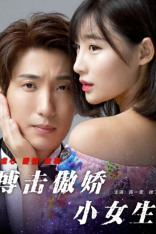 搏击傲娇小女生(2017)海报