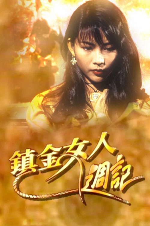 鎮金女人週記粵語(1993)海報
