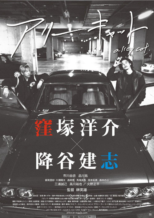 野良貓(2017)海報