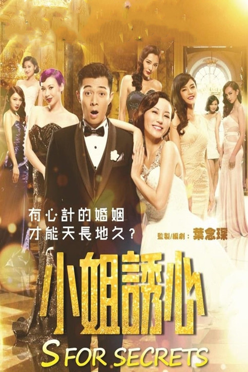 爱情攻略 小姐誘心(2014)海报