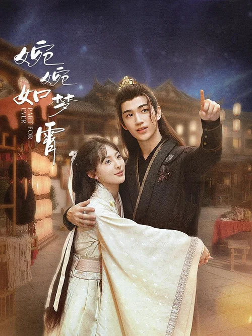 婉婉如梦霄(2024)海报