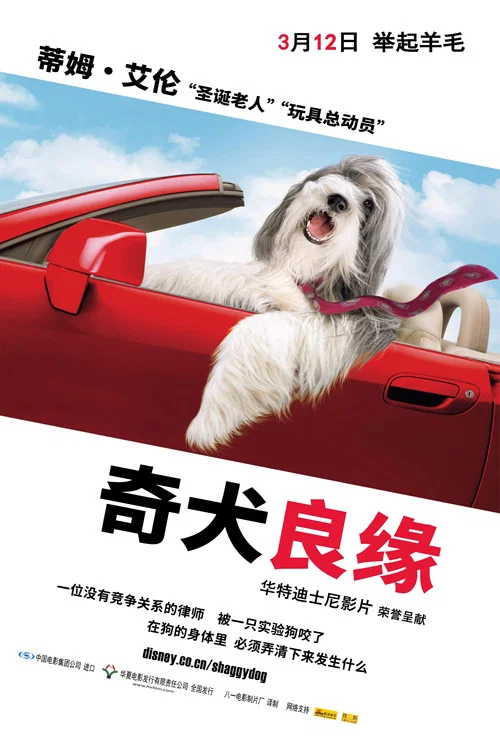 长毛狗(2006)海报