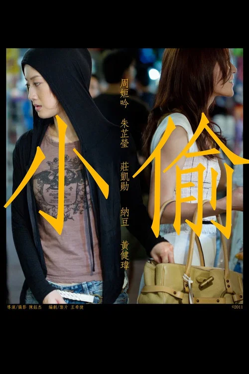 小偷(2011)海报