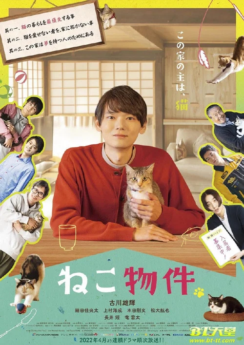 猫物件(2022)海报
