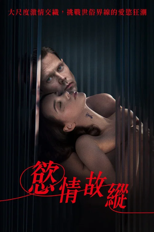 為何是你?(2024)海報