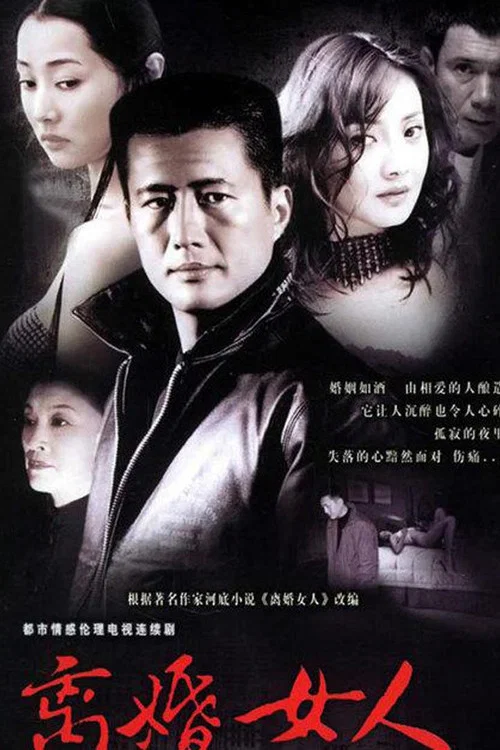 离婚女人(2005)海报
