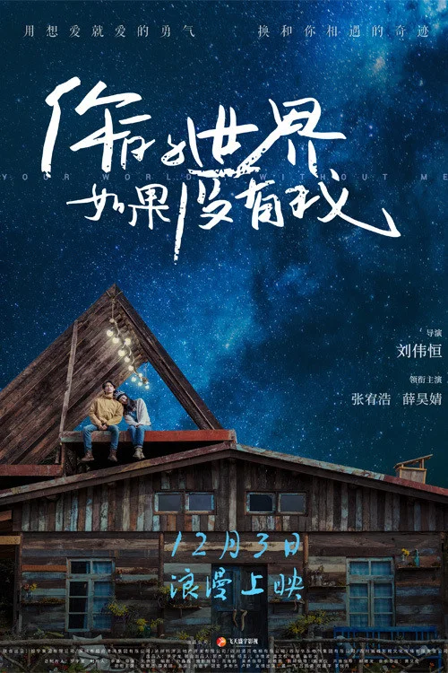 你的世界如果沒有我(2019)海報