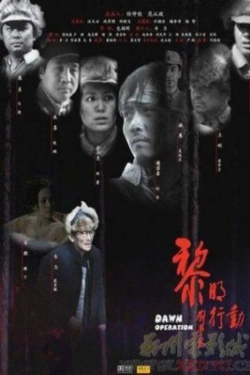 黎明行动(2008)海报