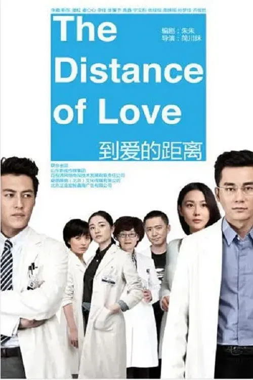 到爱的距离(2013)海报