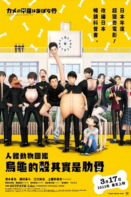 烏龜的殼其實是肋骨(2022)海報
