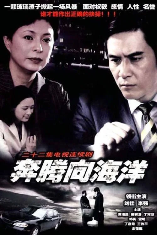 奔腾向海洋(2002)海报