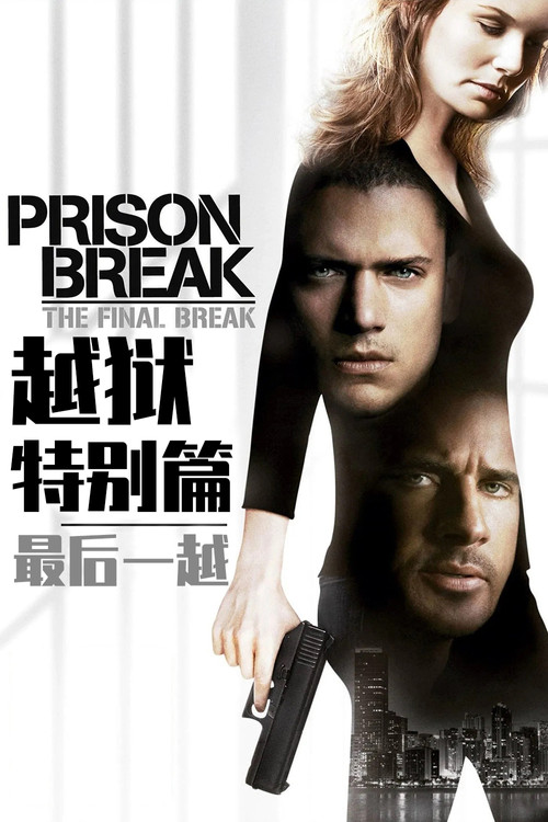 越狱特别篇:最后一越(2009)海报