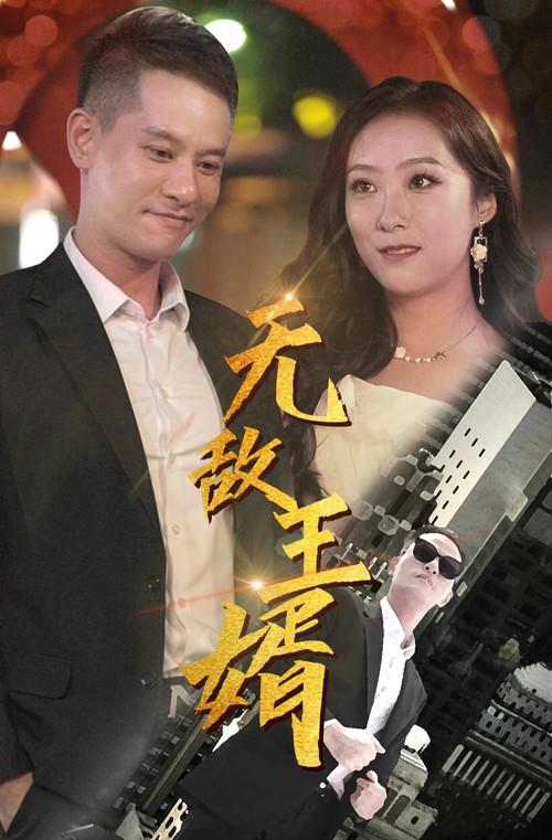 無敵王婿(2023)海報