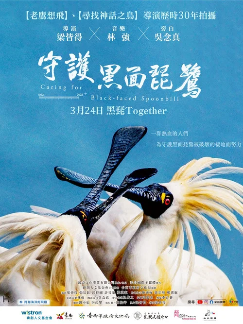 守护黑面琵鹭(2023)海报