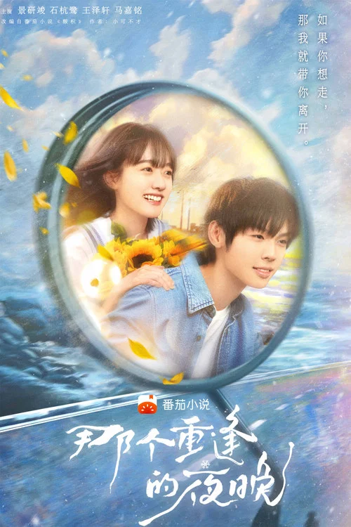 那個重逢的夜晚(2024)海報