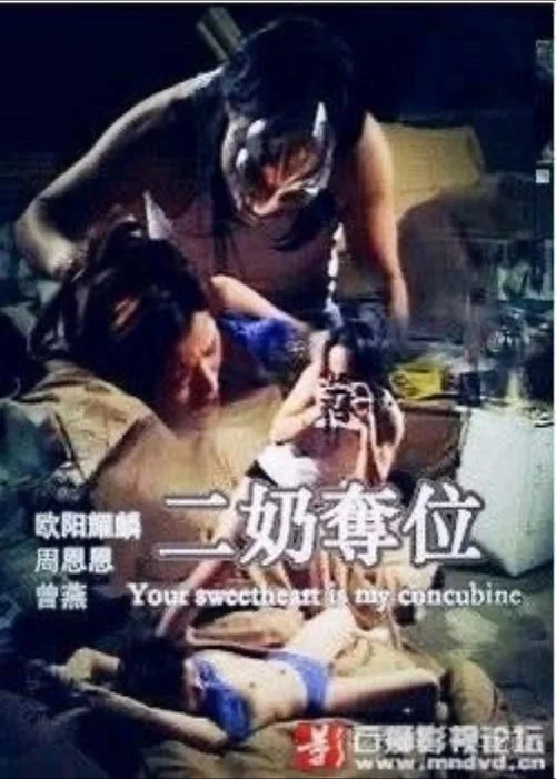 二奶奪位(1999)海報
