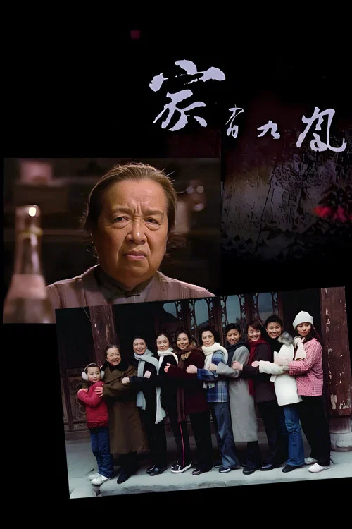 家有九凤(2006)海报
