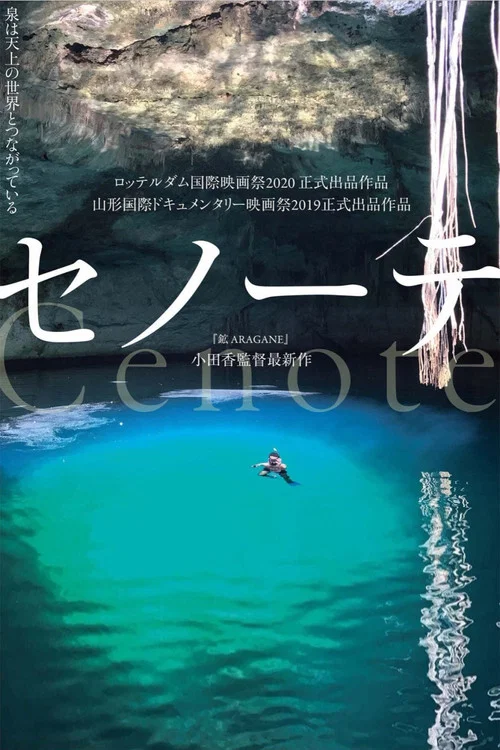 沉洞泉(2020)海报