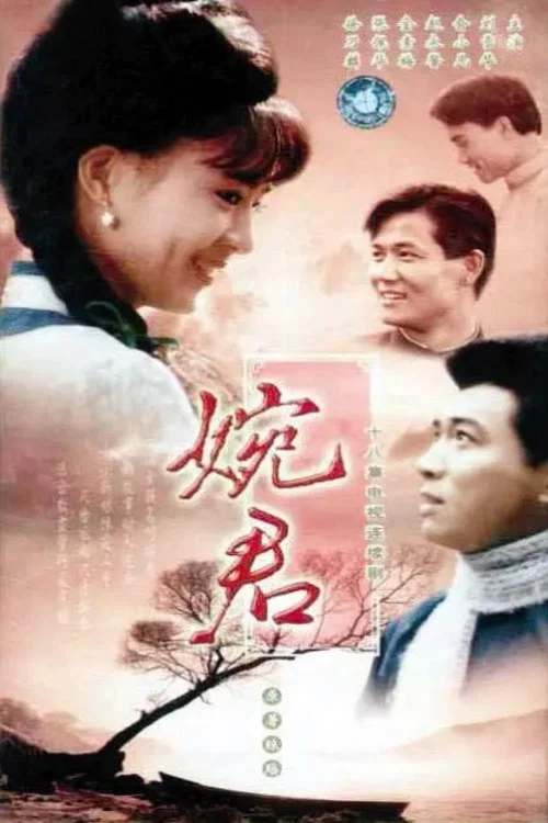 婉君(1990)海报