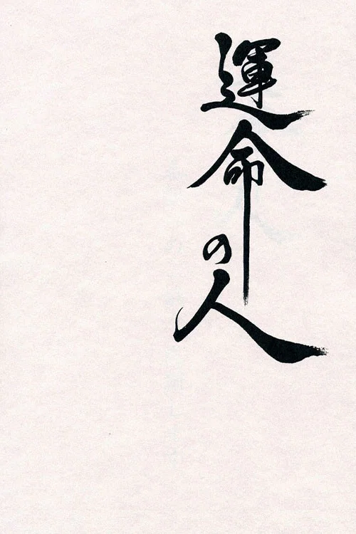 命運之人(2012)海報