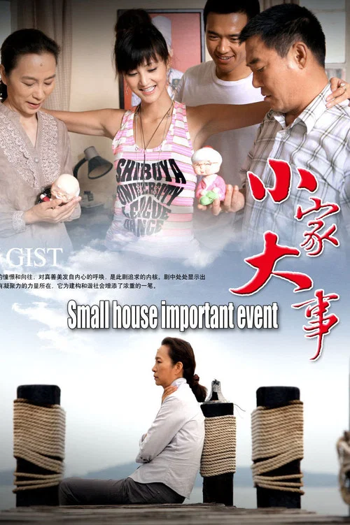 小家大事(2008)海報