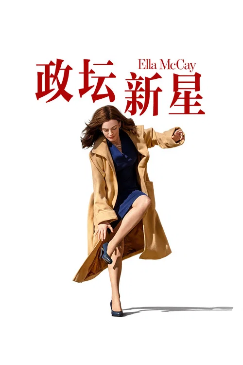 不完美的完美(2025)海報