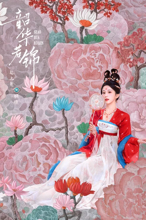 韶华若锦剧照5