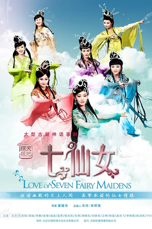 欢喜姻缘(2011)海报