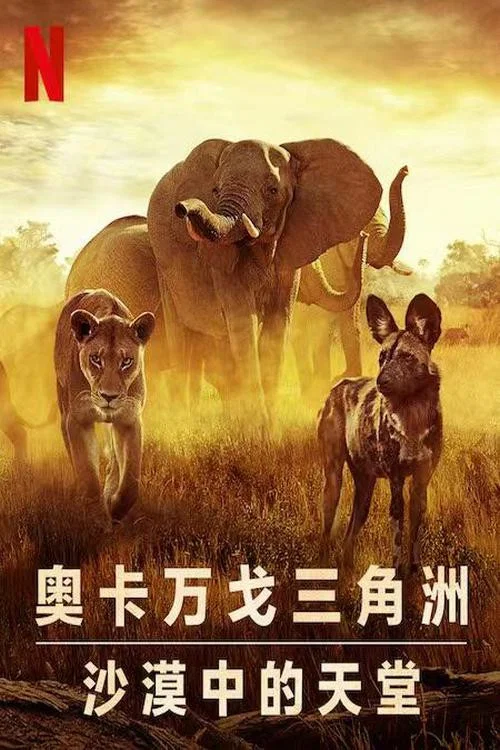 倖存的天堂(2022)海報