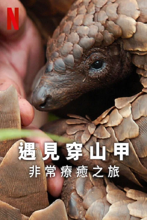 穿山甲Kulu的旅程(2025)海報